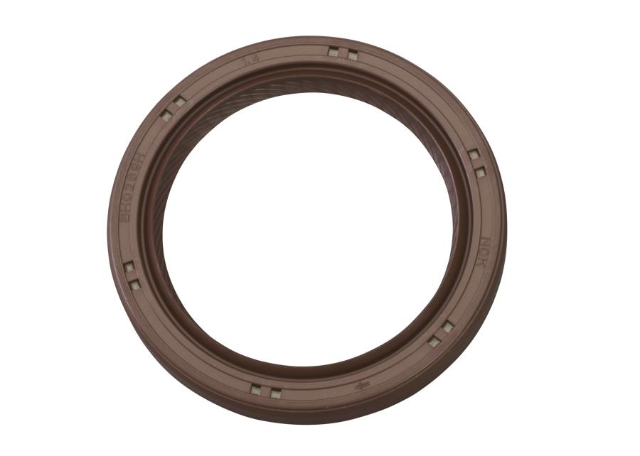 Engine Camshaft Seal (Front) intake (2 UND) 806742160